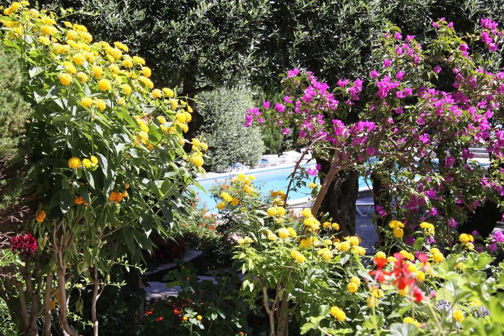 Ville-di-Pietrabugno Hotel Pietracap מראה חיצוני תמונה