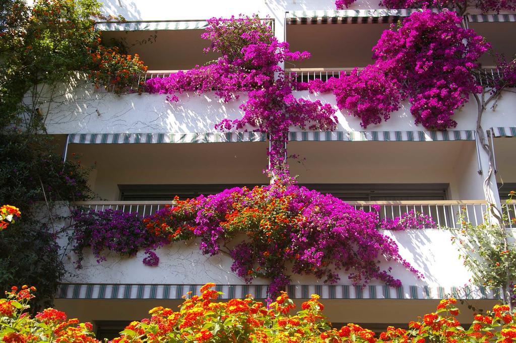 Ville-di-Pietrabugno Hotel Pietracap מראה חיצוני תמונה